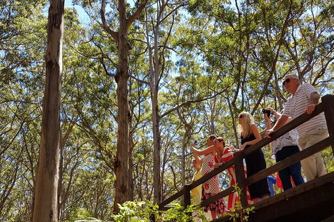 The All About Margaret River Tour: Wine, Coffee, Lunch And Forest - Accommodation Cooktown 3