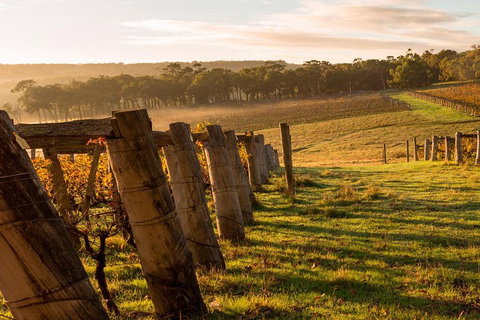 The All About Margaret River Tour: Wine, Coffee, Lunch And Forest - Accommodation Cooktown 5
