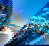 Whitehaven Beach Day Tour with Snorkel in Whitsundays Island - Accommodation Cooktown