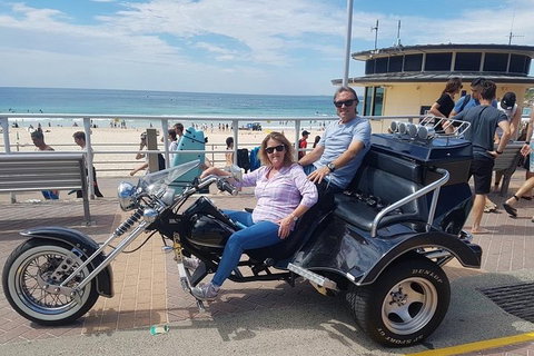 Bondi & Sydney Sights Trike Tour 1.5hrs - Accommodation Cooktown 0