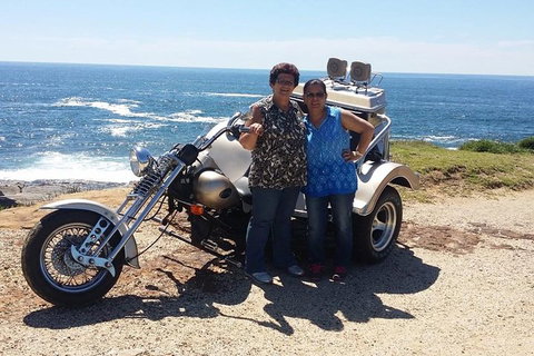 Bondi & Sydney Sights Trike Tour 1.5hrs - Accommodation Cooktown 1