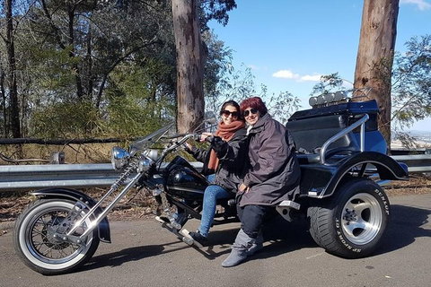 Bondi & Sydney Sights Trike Tour 1.5hrs - Accommodation Cooktown 3