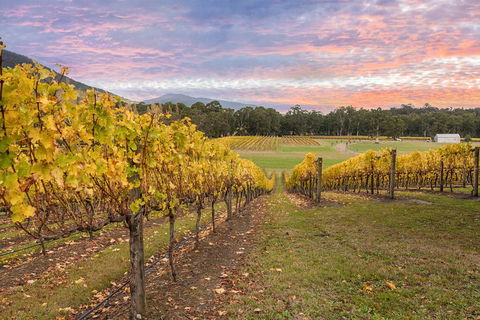 Yarra Valley Boutique Winery Tour From Melbourne - Accommodation Cooktown 3