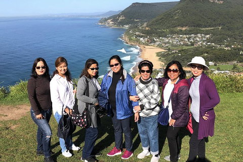 Private Grand Pacific Drive And Southern Highlands Tour - Accommodation Cooktown 3
