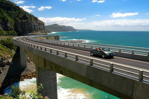 Private Grand Pacific Drive And Southern Highlands Tour - Accommodation Cooktown 5