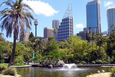 Private Sydney Half Day Tour Including Sydney Opera House And Bondi Beach - Accommodation Cooktown 4