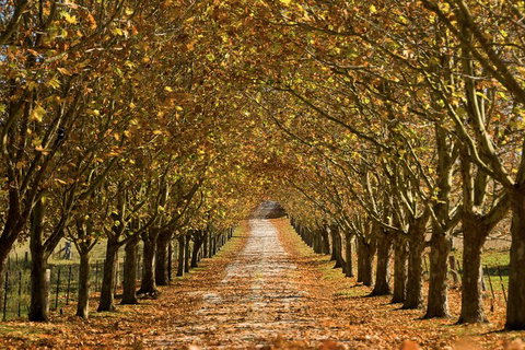Private Southern Highlands Day Trip From Sydney Including Fitzroy Falls - Accommodation Cooktown 4
