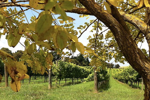 Private Southern Highlands Day Trip From Sydney Including Fitzroy Falls - Accommodation Cooktown 5