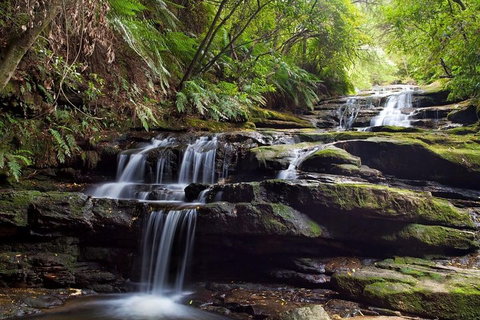 Private All Blue Mountains Day Tour - Accommodation Cooktown 1