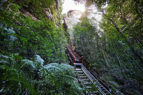 Private All Blue Mountains Day Tour - Accommodation Cooktown 3
