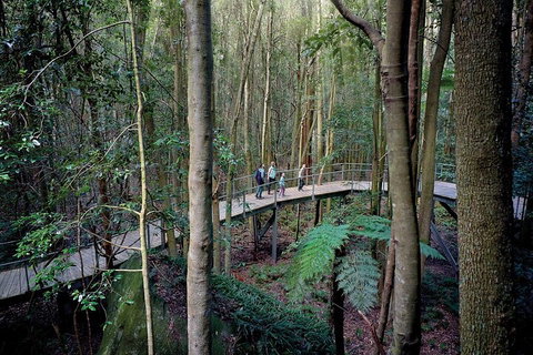 Private All Blue Mountains Day Tour - Accommodation Cooktown 4