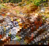 Full-day Springbrook National Park Tour from the Gold Coast - Accommodation Cooktown