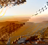 O'Reilly's  Lamington National Park incl. Alpaca Farm  Vineyard - Accommodation Cooktown