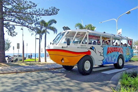Aquaduck Sunshine Coast - Accommodation Cooktown 1