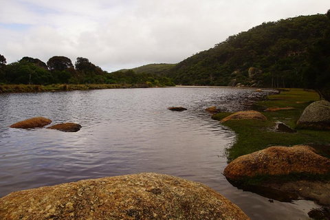 Private Tours From Melbourne - Accommodation Cooktown 2