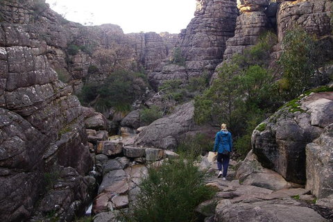 Private Grampians Day Tour - Accommodation Cooktown 3
