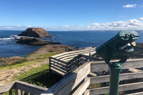 Private Phillip Island Tour - Accommodation Cooktown 4