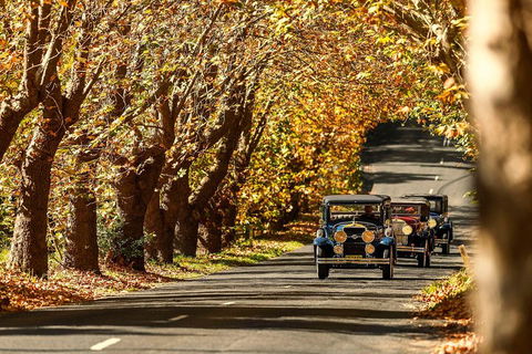 Blue Mountains Vintage Cadillac Tour With Local Guide - Accommodation Cooktown 1