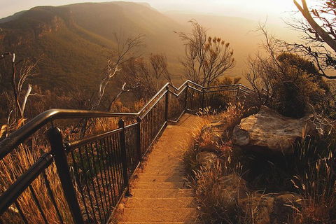 Blue Mountains Vintage Cadillac Tour With Local Guide - Accommodation Cooktown 3