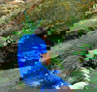 Highlights of Perth Photographic Tour - Accommodation Cooktown