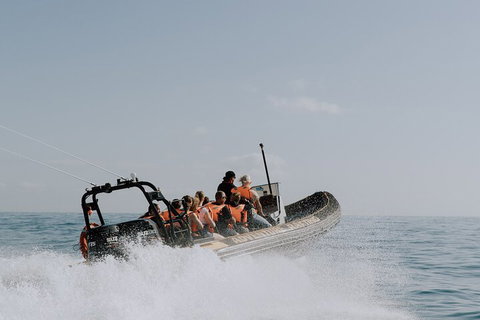 Adventure Rafting - Accommodation Cooktown 0