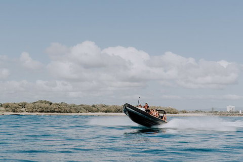 Adventure Rafting - Accommodation Cooktown 3