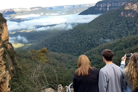 Blue Mountains Private Tour - Wild Kangaroos, Waterfalls And The Three Sisters - Accommodation Cooktown 3
