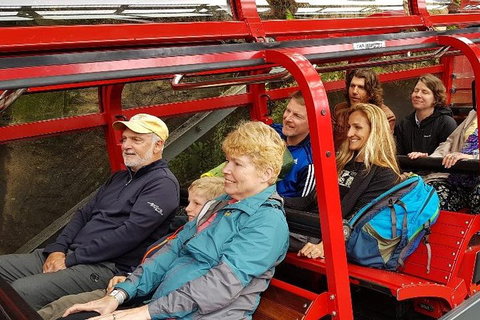 Blue Mountains Ultimate One-Day Tour - Accommodation Cooktown 0