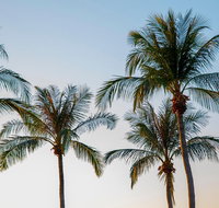 Darwin City Sightseeing Tour - Accommodation Cooktown