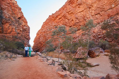Best Of Alice Springs Full Day Tour - Accommodation Cooktown 1