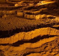 The Explorers' Discovery Tour - Gold Wine  Wildlife - Accommodation Cooktown