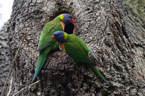 Private Blue Mountains Insider Tour From Sydney - Accommodation Cooktown 3