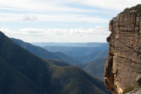 Inside The Greater Blue Mountains World Heritage - A Wildlife Safari Overnight - Accommodation Cooktown 4