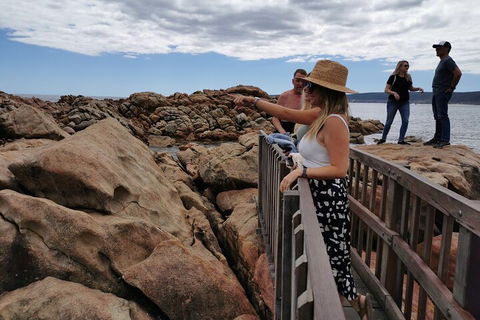 Margaret River Impression Day Tour From Perth - Accommodation Cooktown 4