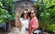 Hideaway Private Tours Hunter Valley- Indulgence Wine Tour (Full Day) - thumb 5