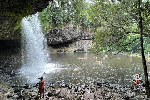 Behind The Bay - Explore Like A Local - Accommodation Cooktown 4