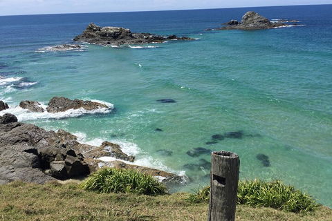 Behind The Bay - Explore Like A Local - Accommodation Cooktown 5