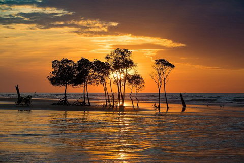 Delightful Darwin Self-Guided Audio Tour - Accommodation Cooktown 3