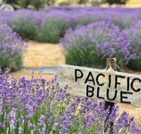 Kangaroo Island Food and Wine Trail Tour - Accommodation Cooktown