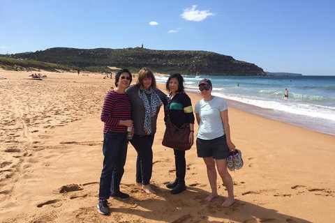 Small-Group Sydney's Northern Beaches And Ku-ring-gai National Park Bus Tour - Accommodation Cooktown 2