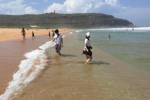 Small-Group Sydney's Northern Beaches And Ku-ring-gai National Park Bus Tour - Accommodation Cooktown 5