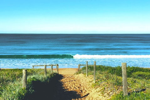 Sydney's Northern Beaches & Ku-ring-gai National Park Small Tour Departing Manly - Accommodation Cooktown 1