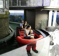 Sydney Attractions Pass SEA LIFE Aquarium Sydney Tower Eye WILD LIFE Zoo and Madame Tussauds - Accommodation Cooktown