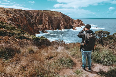 Private Phillip Island & Penguin Parade Hiking Tour From Melbourne - Accommodation Cooktown 5