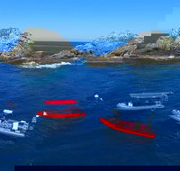 3-Hour Byron Bay Certified Scuba Diving Tour - Accommodation Cooktown
