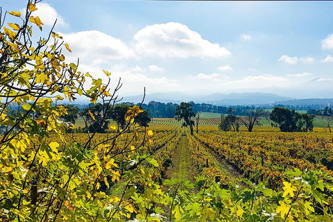 Yarra Valley Wine & Food Tour Departing From Melbourne - Accommodation Cooktown 4