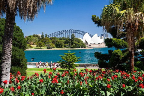 Sydney Luxury Private Shore Excursion | 6 Hr Tour | Departs From Cruise Terminal - Accommodation Cooktown 5