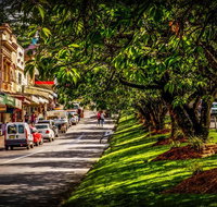 Fully Inclusive Blue Mountains Private Tour inc Scenic World  Featherdale entry - Accommodation Cooktown