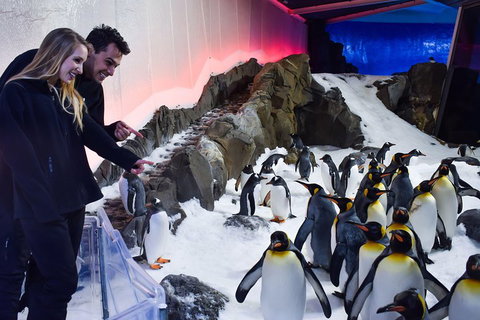 Penguin Passport At SEA LIFE Melbourne Aquarium - Accommodation Cooktown 0