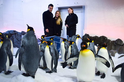Penguin Passport At SEA LIFE Melbourne Aquarium - Accommodation Cooktown 4